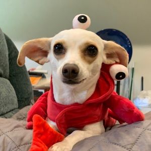 Meet your Posher, Cassandra